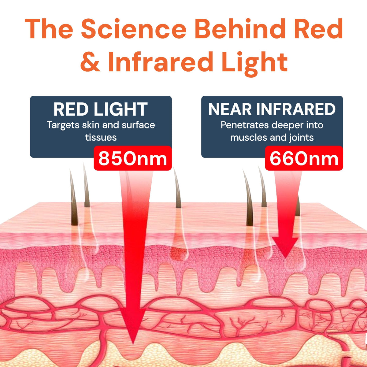 Red Light Therapy Panel